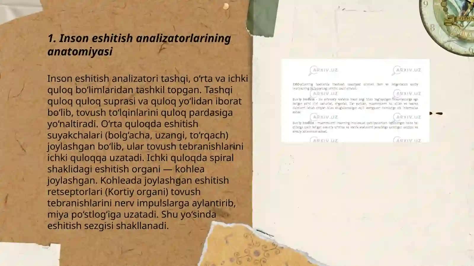 Inson eshitish analizatorlari tizimi va tovushni his etish 3