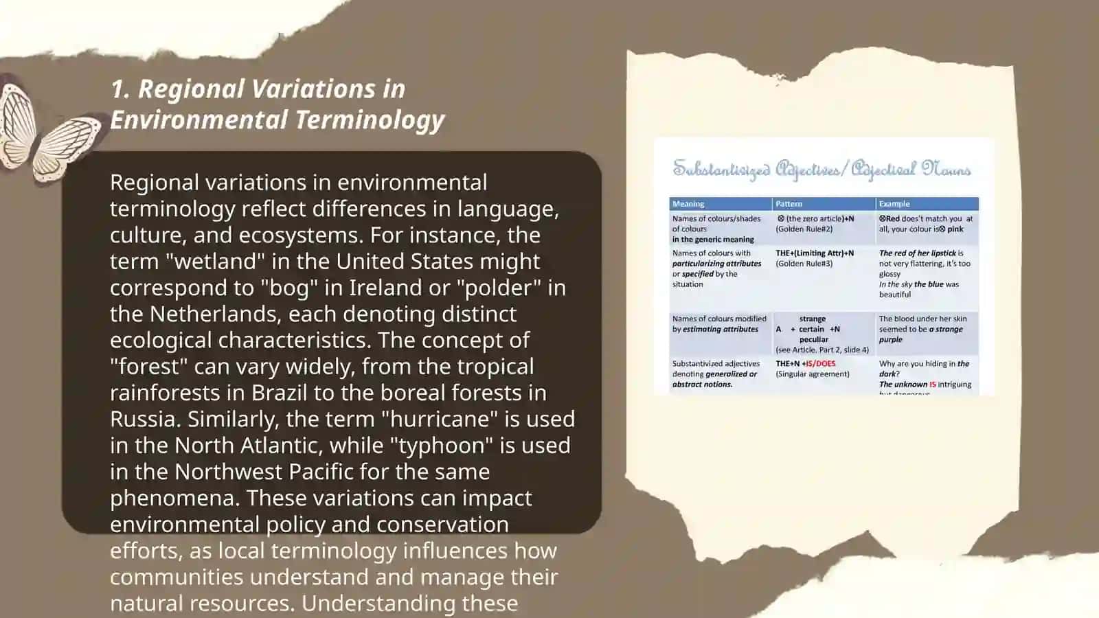 Regional Variations in Environmental Terminology 3