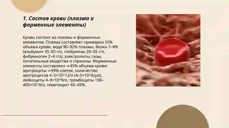 Кровь 3
