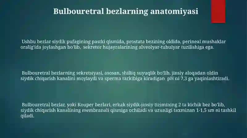 Bolalarda siydik ajratuv tizimi a'zolarining anatomik xususiyatlari 3