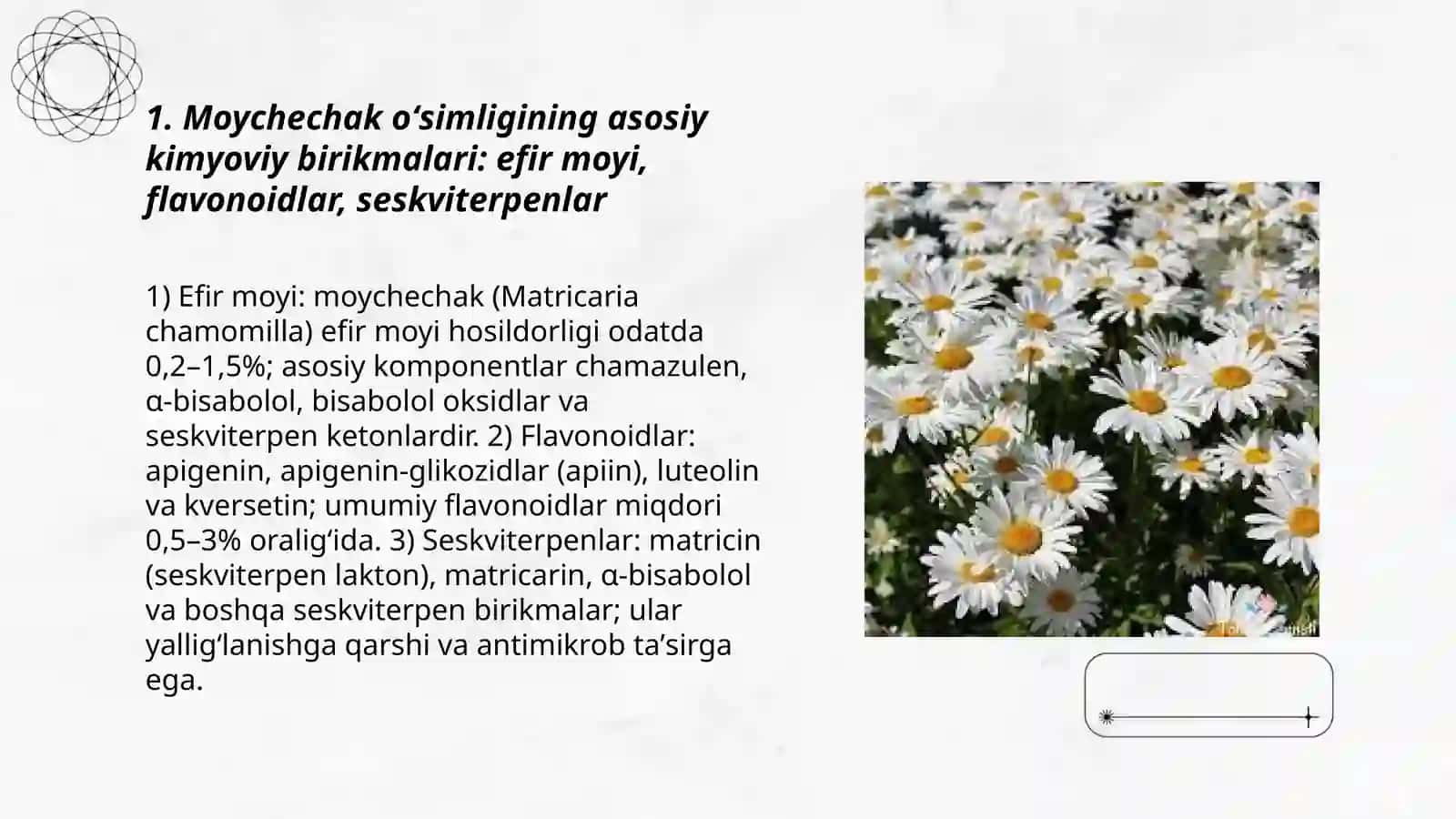 Moychechak oʻsimligining kimyoviy tarkibi 3