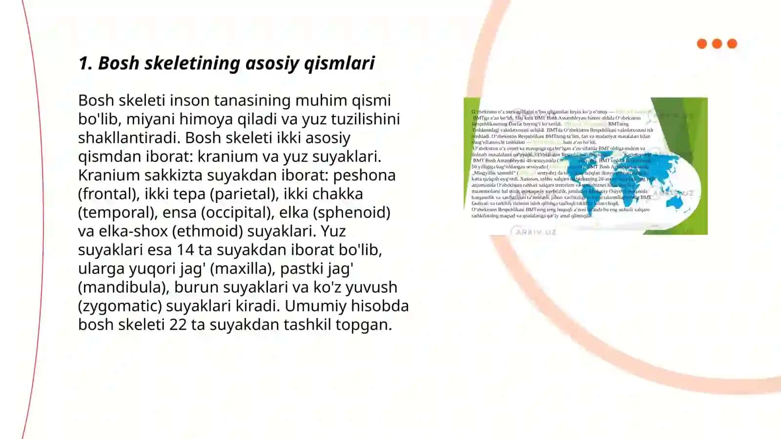Bosh skeletining tuzilishi va o’zaro birikuvi 3