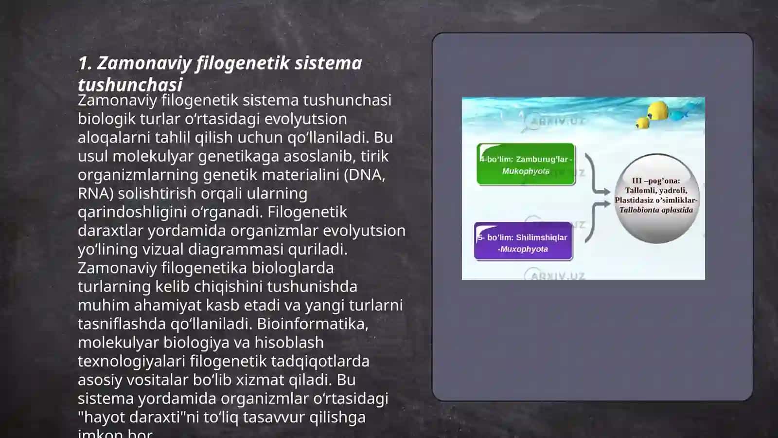 Zamonaviy filogenetik sistema.Tuban õsimliklar va ularning klassifikatsiyasi 3