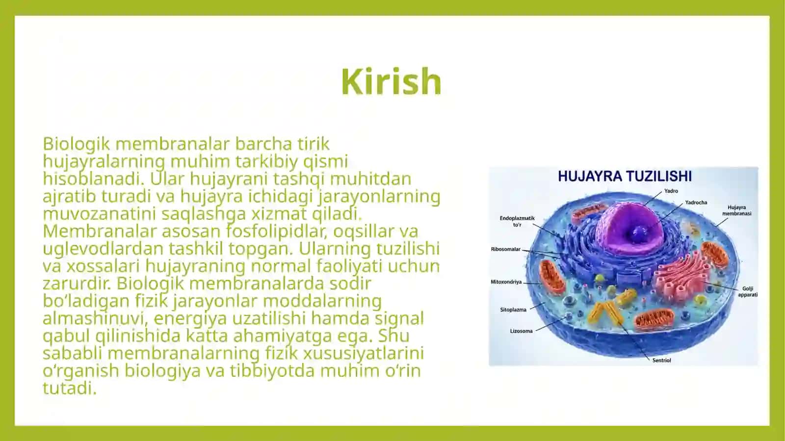 Biologik membranalardagi fizik jarayonlar 3