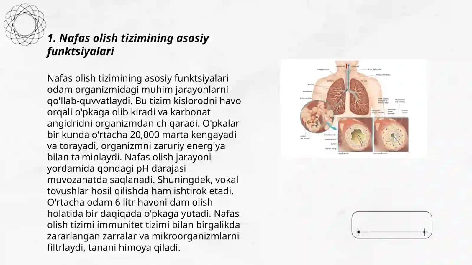 Nafas olish sistemasining fizikasi 3