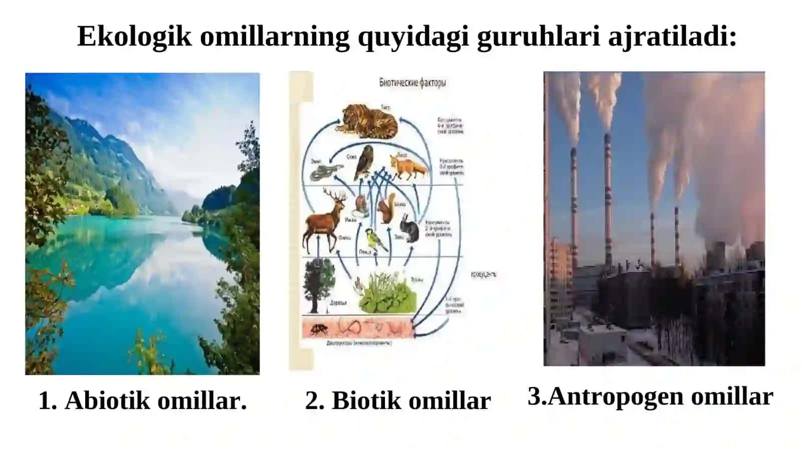 Ko'piklar va ularning agregativ barqarorligi hamda ularga ta'sir etuvchi omillar 3