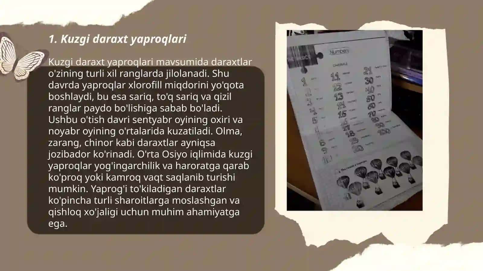 Qogʻozdan Kuz mavzusiga applikatsiya yasash 3