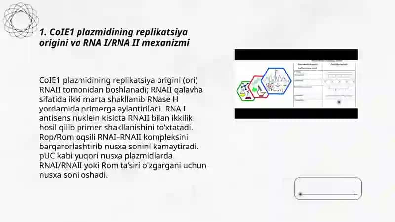 Kopiya soni yuqori plazmidlar (CoIE1, pUC, pBIuescript) va ularning rekombinant DNK texnalogiyasidagi oʻrni 3