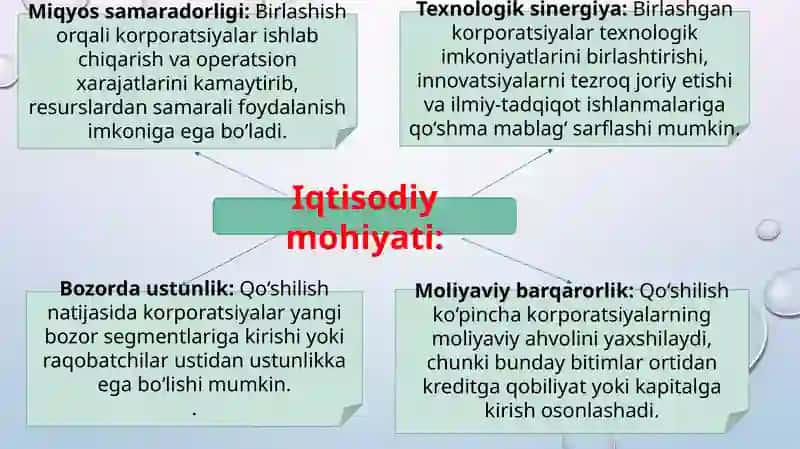 Korporativ birlashmalar va ulardagi korporativ boshqaruv mexanizmi 3