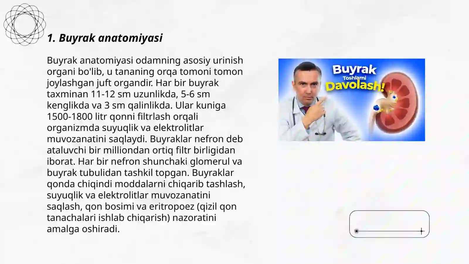 Buyrak 3
