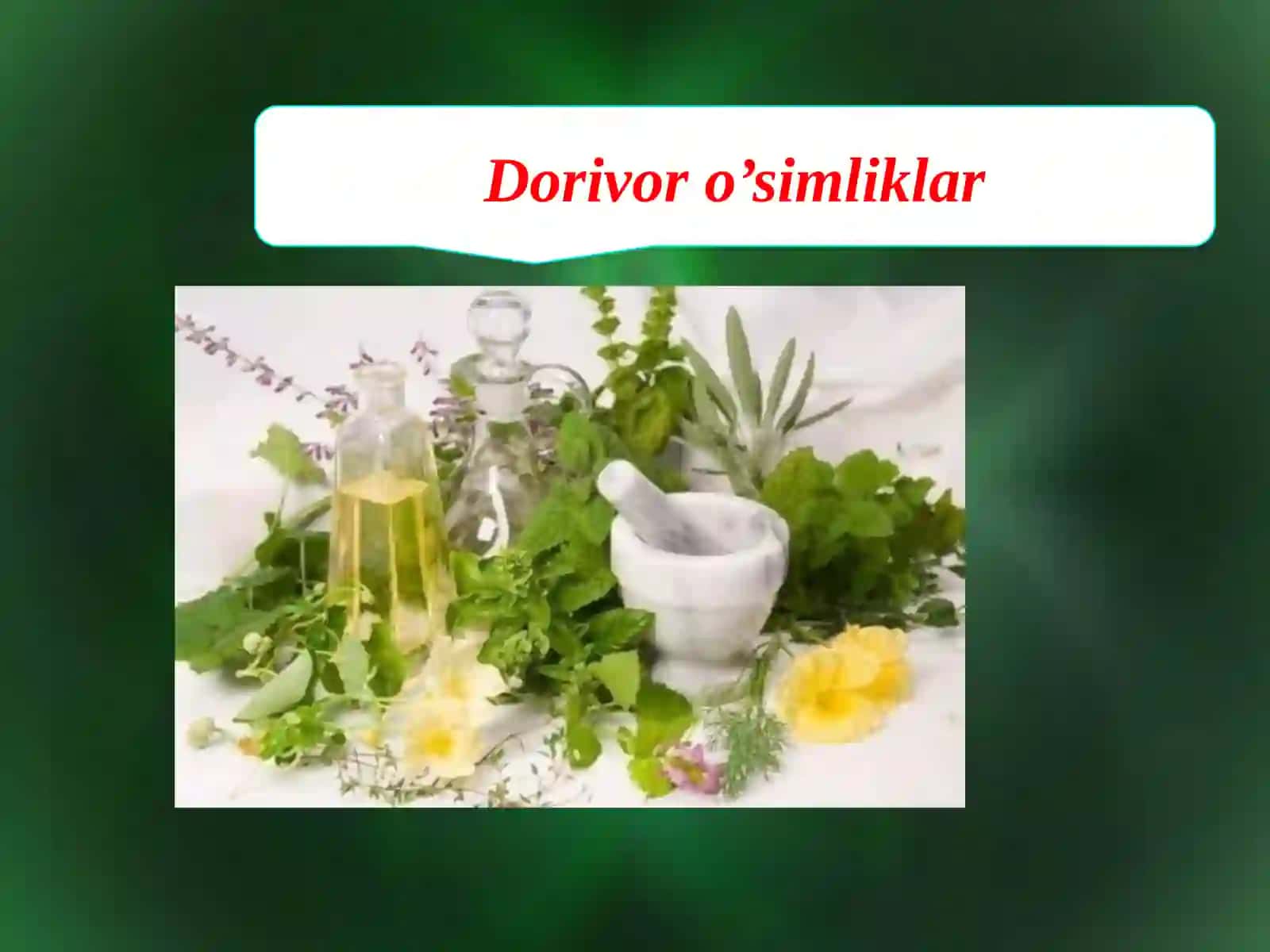Dorivor o’simliklar xomashyosining mikroflorasi o’simliklarda kasallik qo’zg’atuvchi mikroorganizmlar tayyor dorilarning mikroflorasi va aniqlash usullari 3