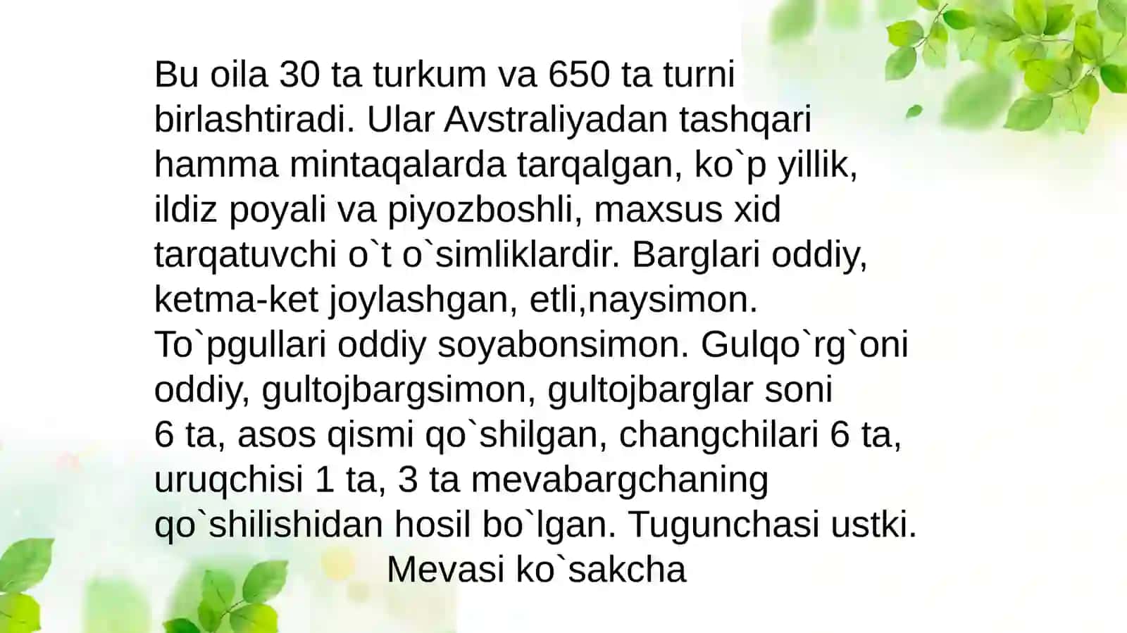 Piyozdoshlar oilasi turkum turlari 3