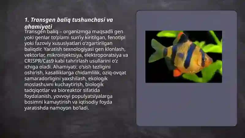 Transgen baliq yaratish texnologiyasi 3