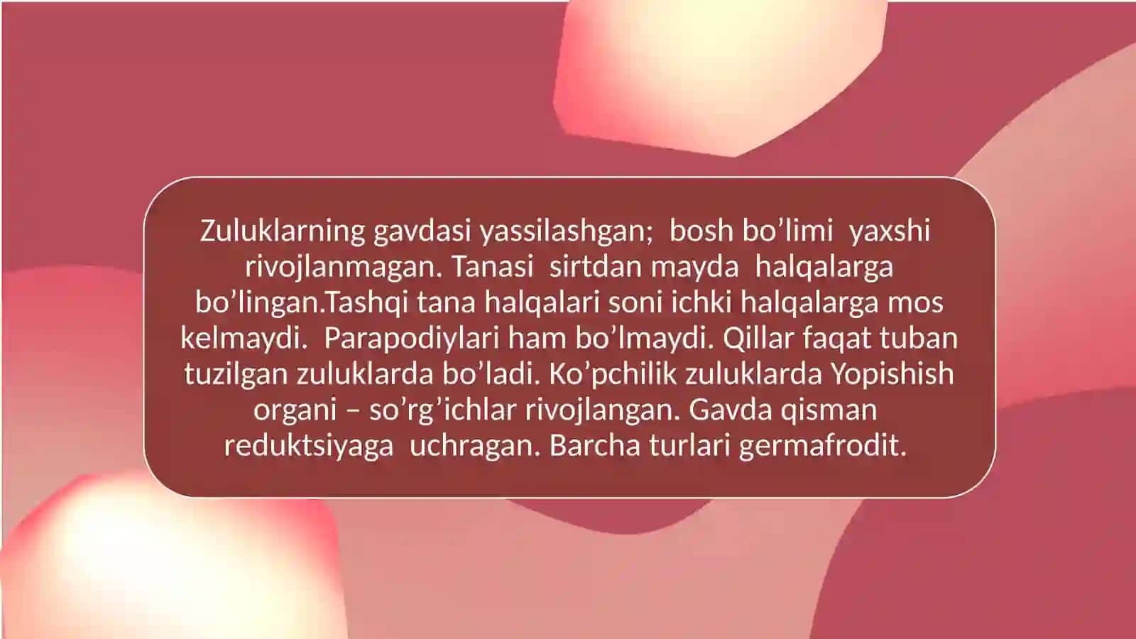 Zuluklar sinfi 3