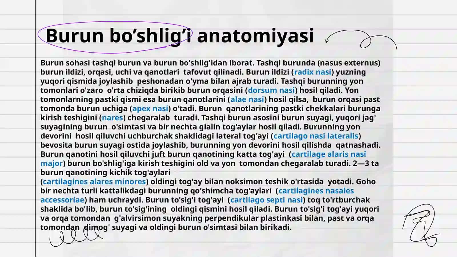 BURUN BO’SHLIG’INING TUZILISHI VA YOSHGA QARAB O’ZGARISHI 3