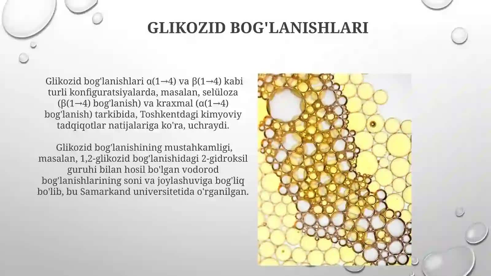 Di-gomo-vageteropolisaxaridalartuzilishivaxossalari 3