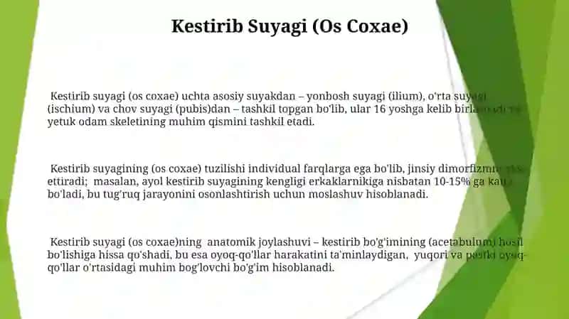 Chakka suyagi va chanoq suyaklari 3