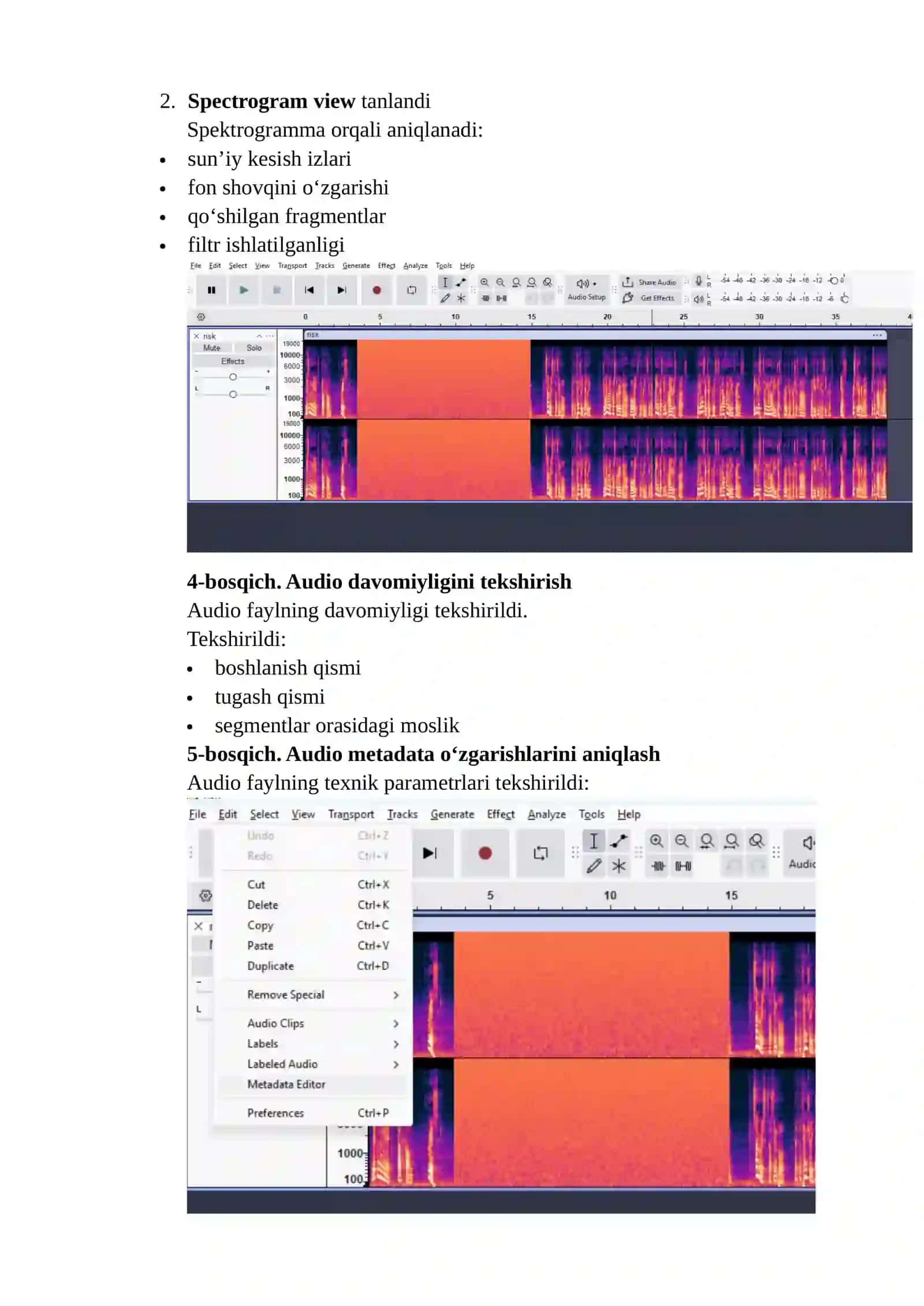 Audio, vedio, rasm faylni forenzik tahlili 3