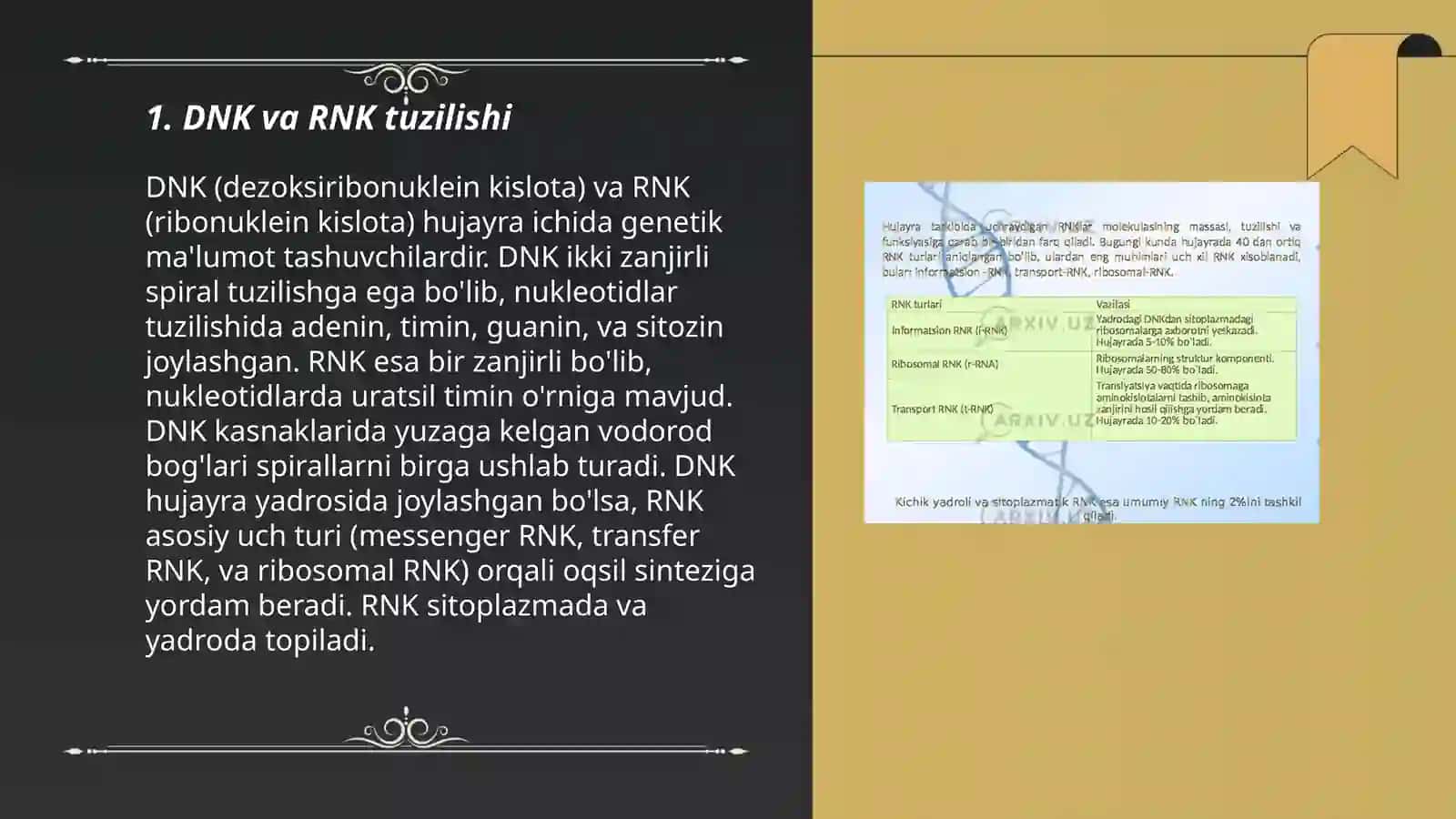 DNK va RNK.purun va pirimidin asoslari. Nukleozidlar 3