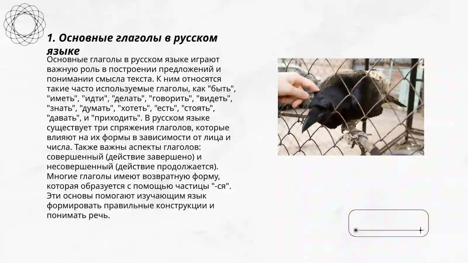 Основные глаголы в русском языке 3
