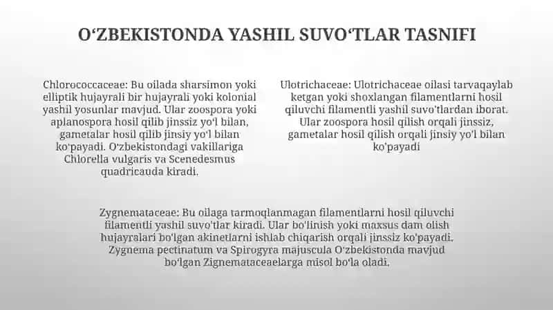 Yashil Suvo'Tlar Bo'Limining O'Zbekistonda Tarqalgan Turlari Va Ularning O'Ziga Xos Xususiyatlari 3
