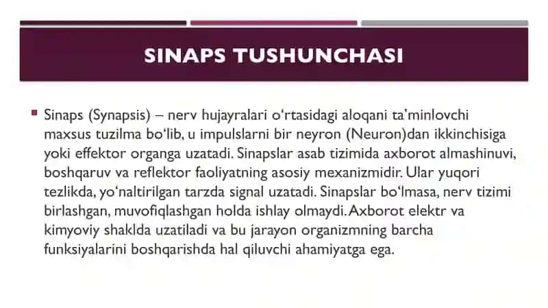 Sinapslarning tuzilishi va ishlash mexanizmlari 3
