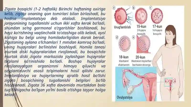 Ontogenezning ilk bosqichlarida insonning psixik rivojlanishga xos xususiyatlar 3