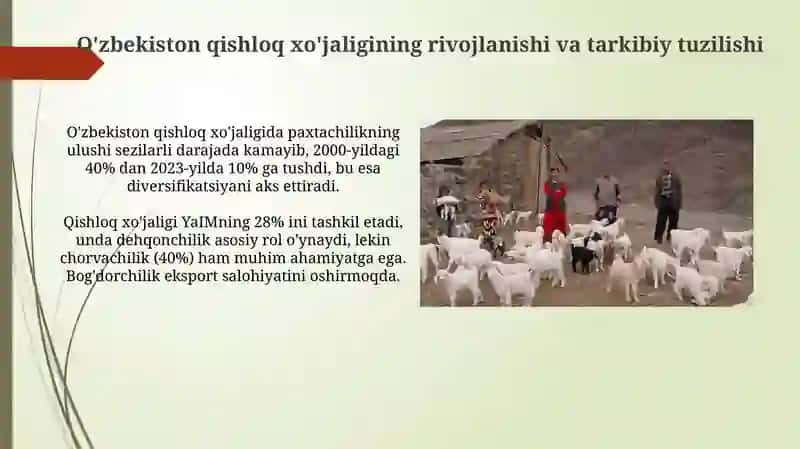 O'zbekiston qishloq xo'jaligi rivojlanishi va tarkibiy tuzilishi 3