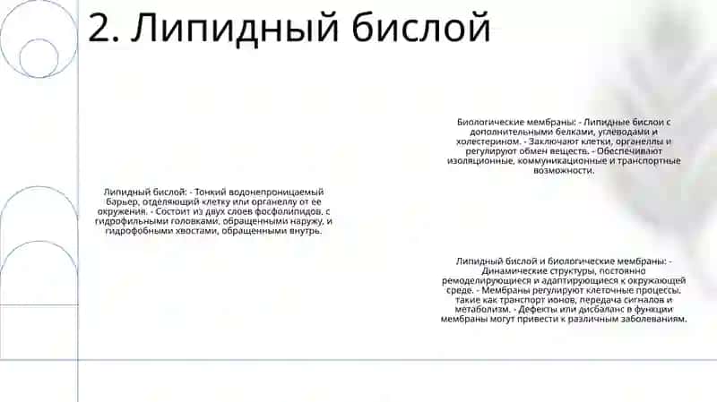 Биологических Мембранах 3