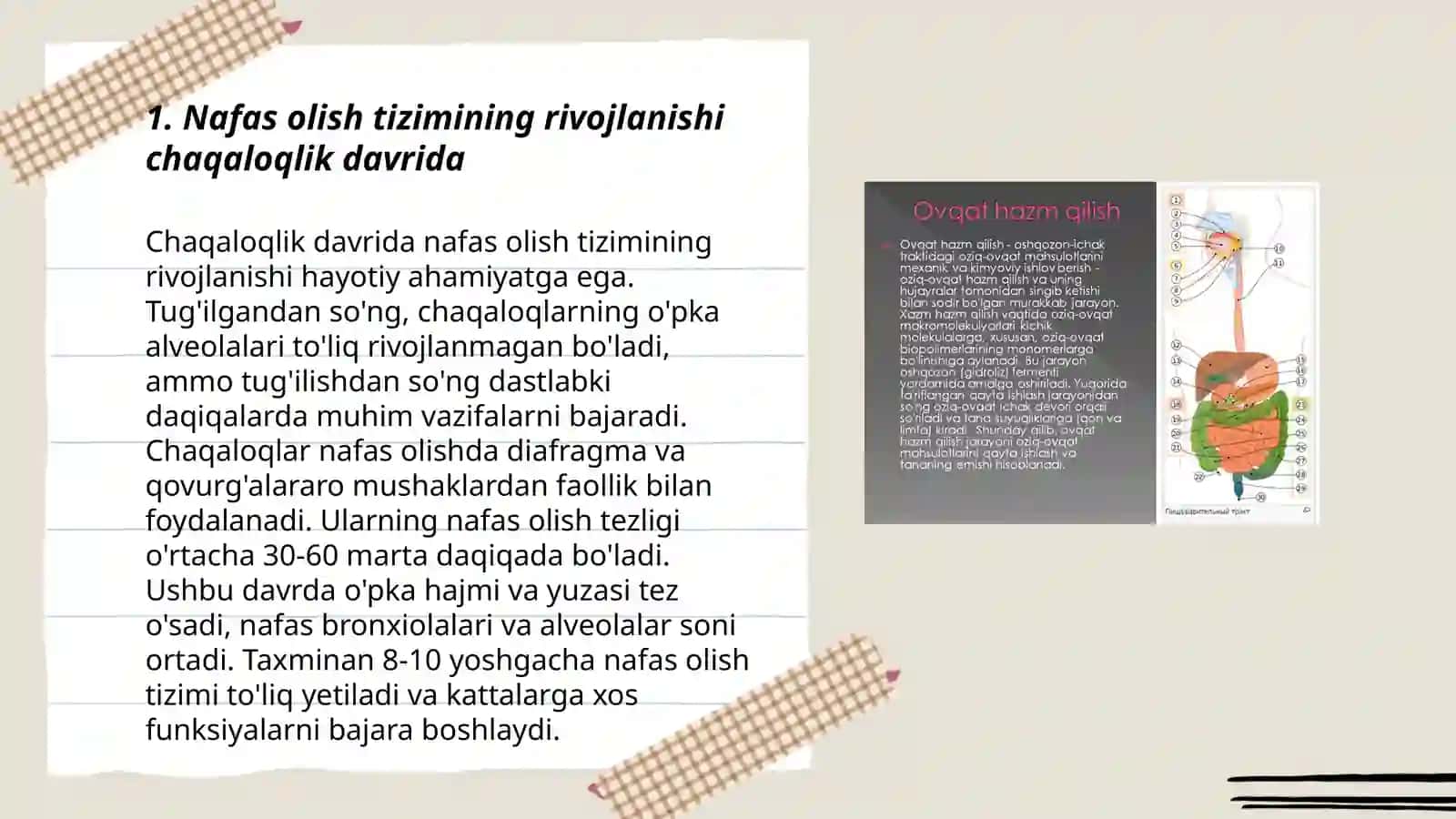 Nafas olish tizimining yoshga oid xususiyatlari va gigiyenasi 3