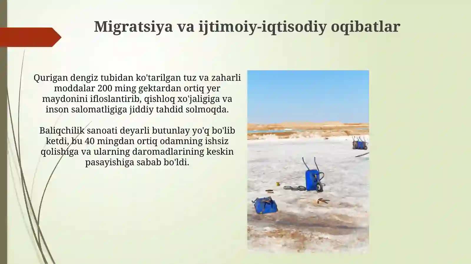 Migratsiya va ijtimoiy-iqtisodiy oqibatlar 3