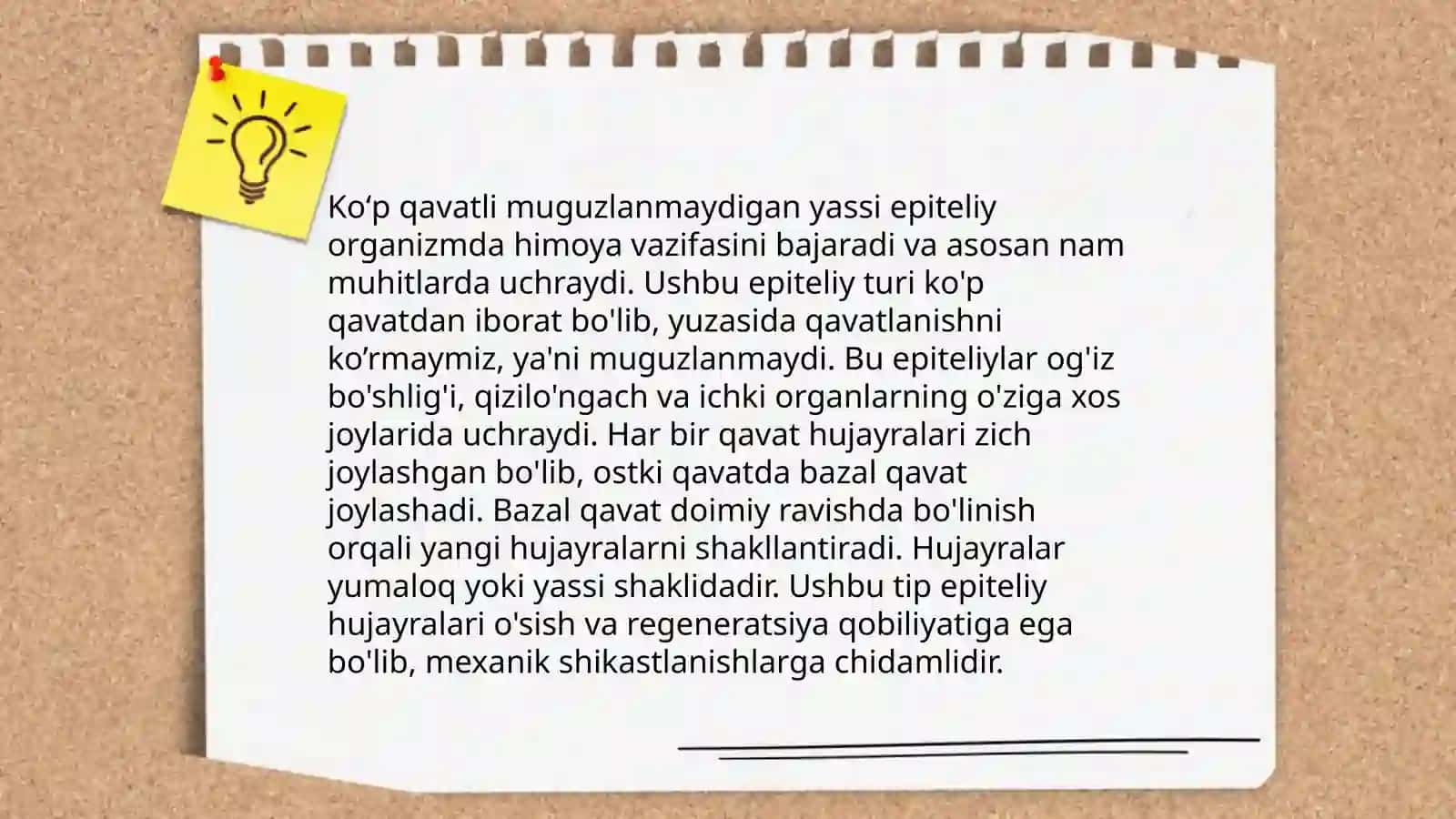 Koʻp qavatlik muguzlanmaydigan yassi epiteliyning qavatlarini tahlil qilish 3