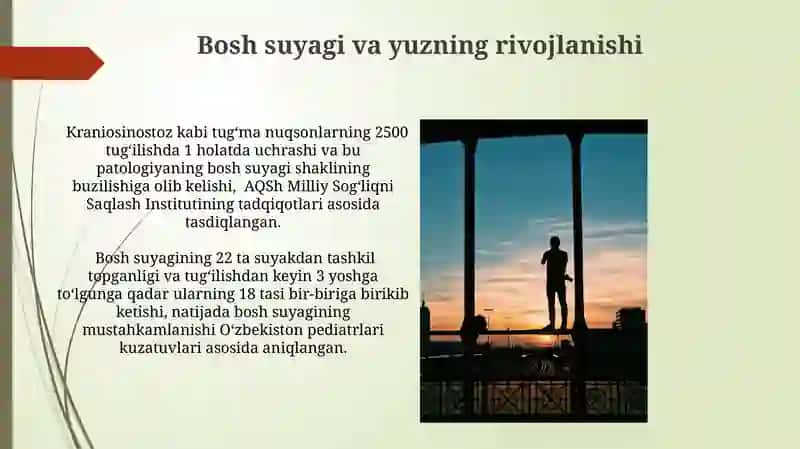 Bosh va yuz skeleti tuzilishi 3