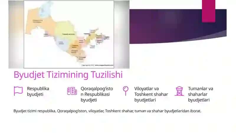O‘zbekiston Respublikasining Davlat Byudjeti: Asosiy Tushunchalar 3