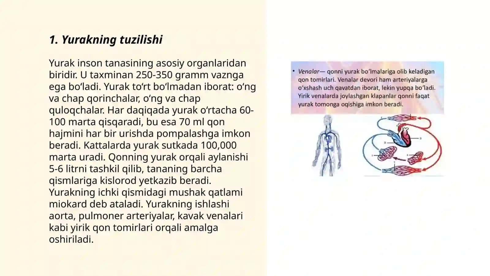 Venalarda qonning harakatlanishi 3