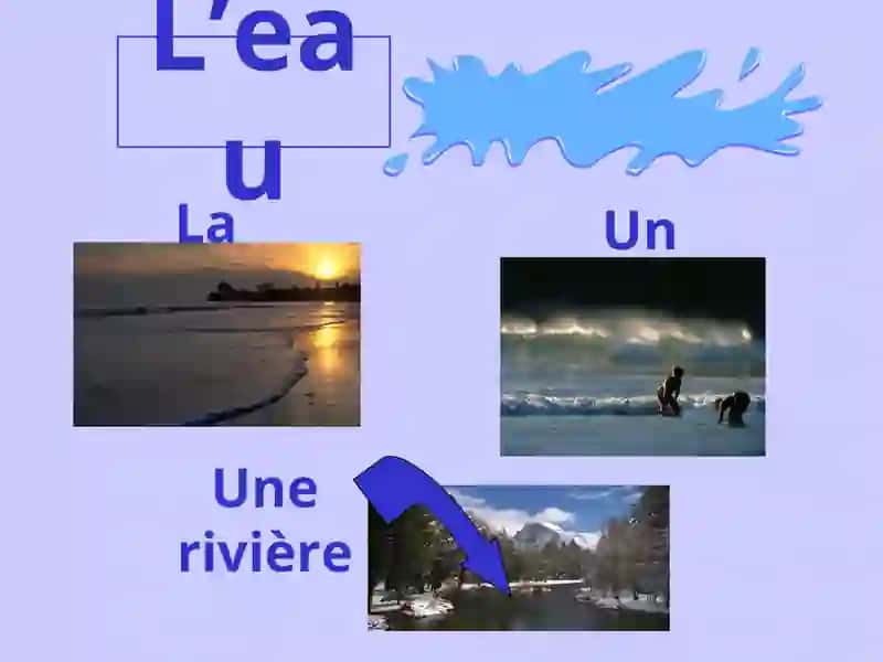 L'environnement et la pollution 3