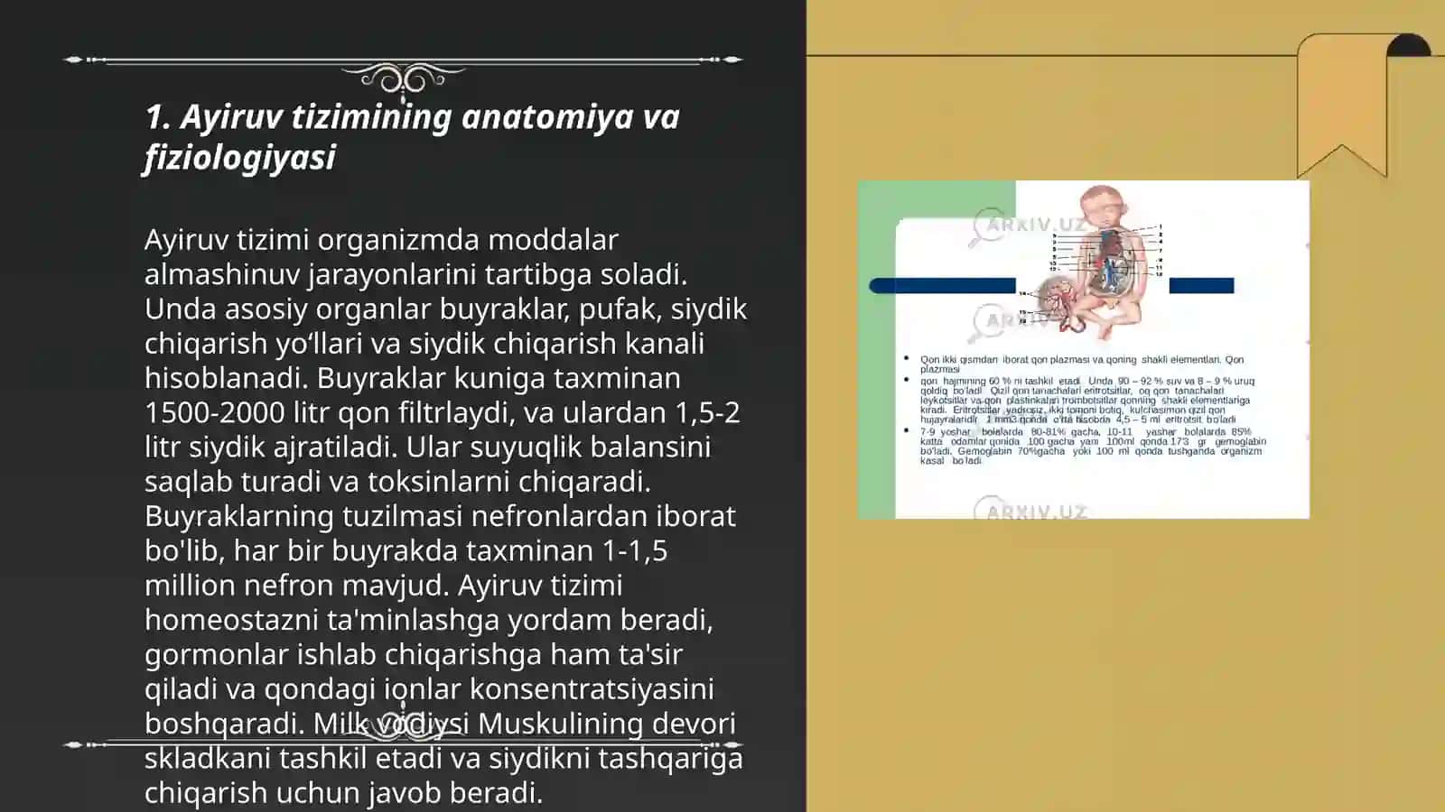 Ayiruv tizimining yosh xususiyatlari va gigiyenasi 3