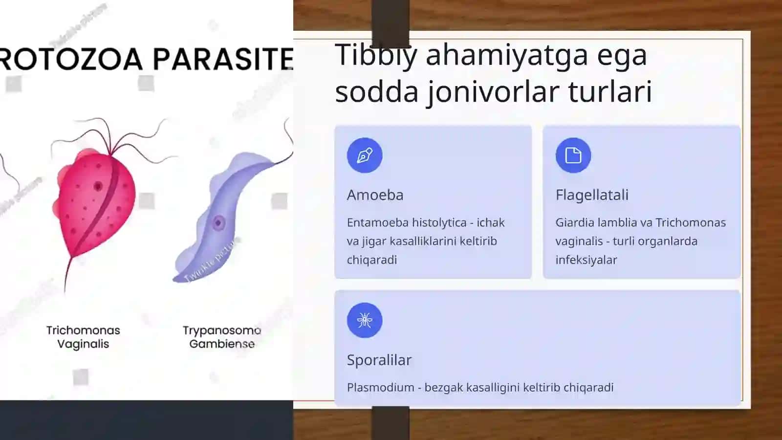 Sodda jonivorlar keltirib chiqaruvchi kasalliklar va ularning laboratoriya diagnostikasi 3