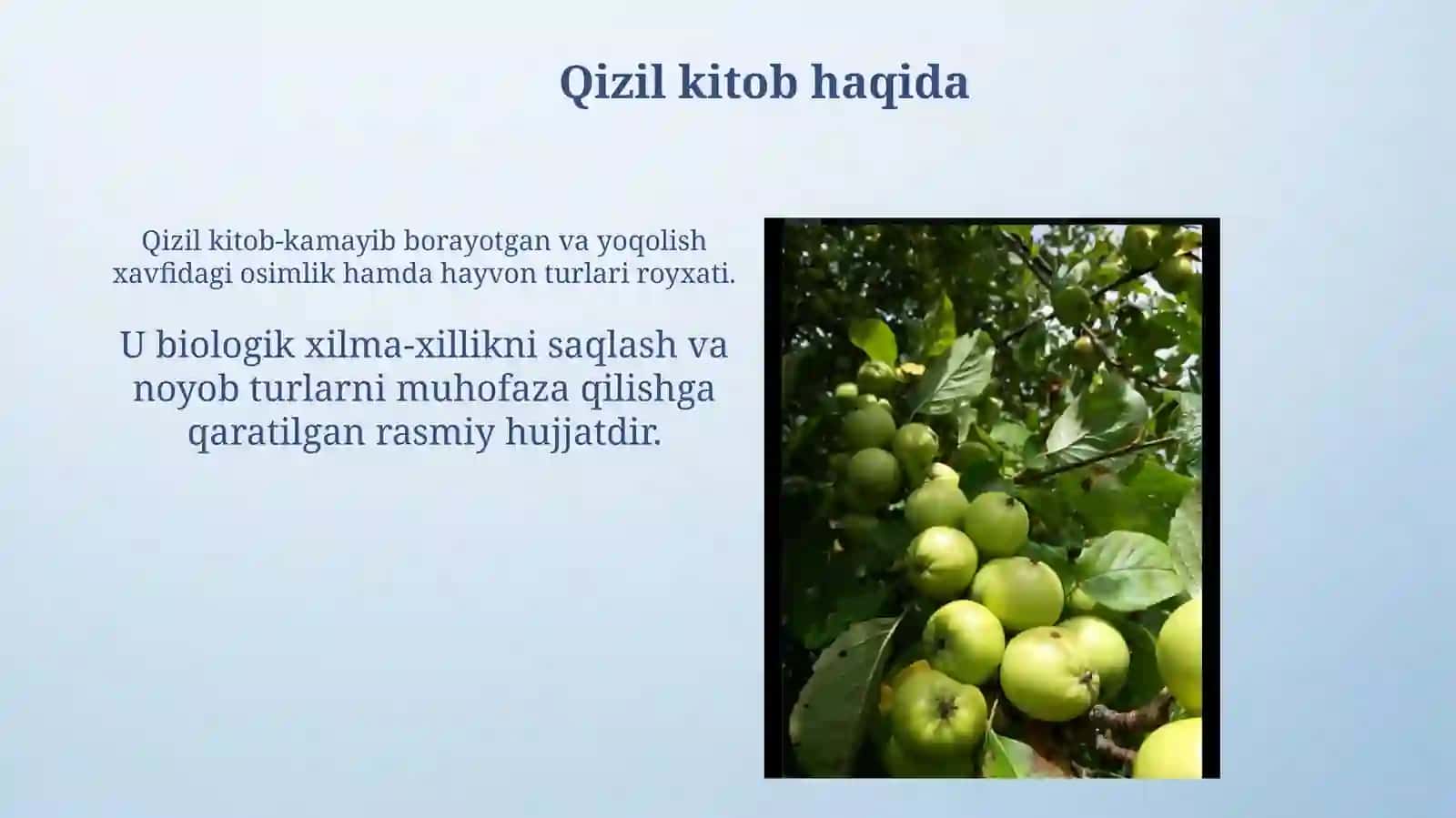 Qizilkitobgakiritilganmevalar 3