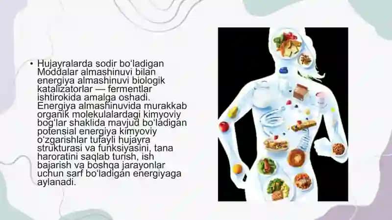 MODDALAR ALMASHINUVIGA KIRISH. OVQATLANISH        BIOKIMYOSI. METABOLIZM TOG'RISIDA TUSHUNCHA. 3