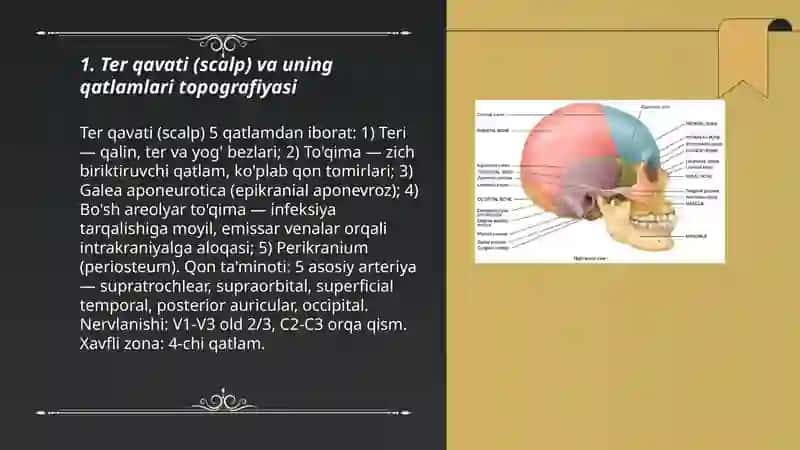 Kalla topografiyasi 3