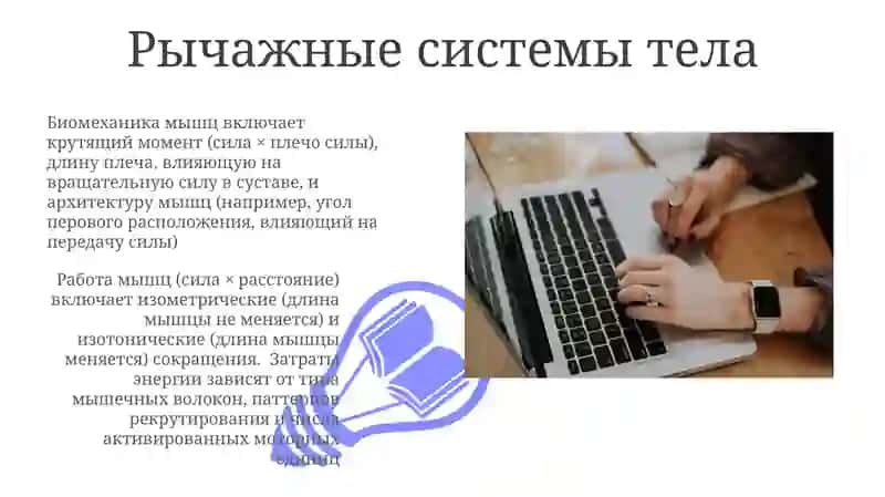 Работа и биомеханика мышц 3