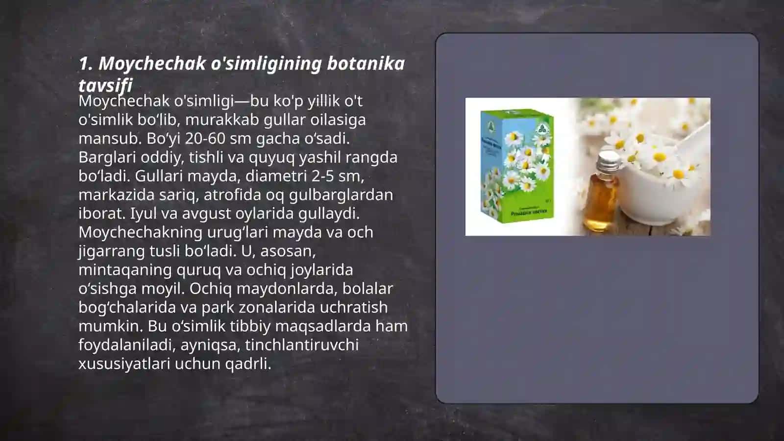 Moychechak o'simligi 3
