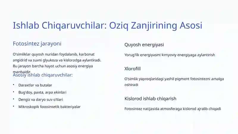 Oziq Zanjiri va Tarmoqlari: Tabiatdagi Hayotiy Bog'lanishlar 3