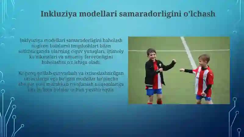 Inklyuziya modellari 3