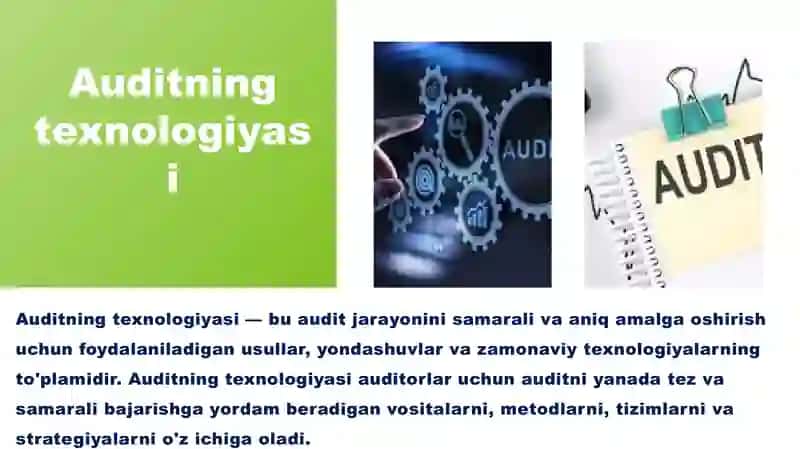 Auditning texnologiyasi Firibgarlik va xato 3