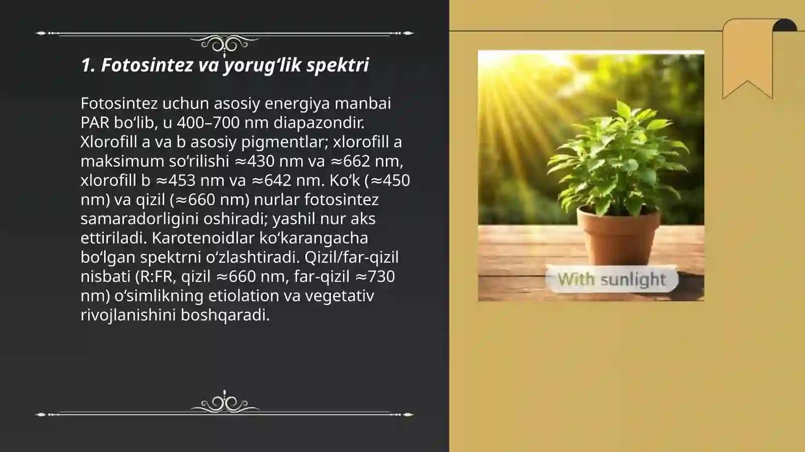 Oʻsimliklarga yorugʻlik nurining tasiri 3