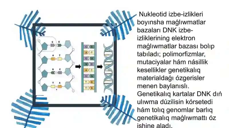Nukleotidli izbe-izlikler 3