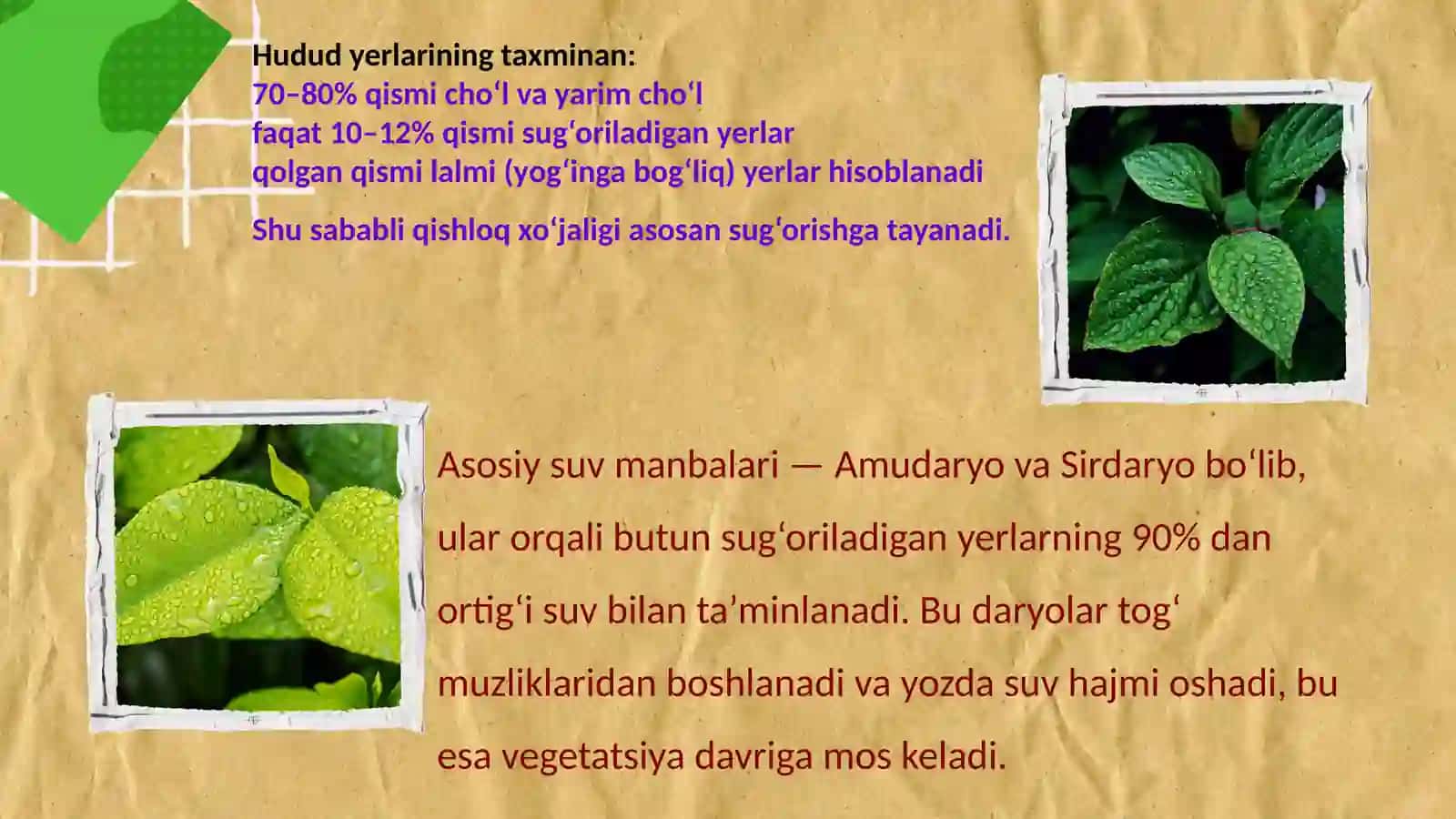 O‘rta Osiyo qishloq xo‘jaligi geografiyasi 3