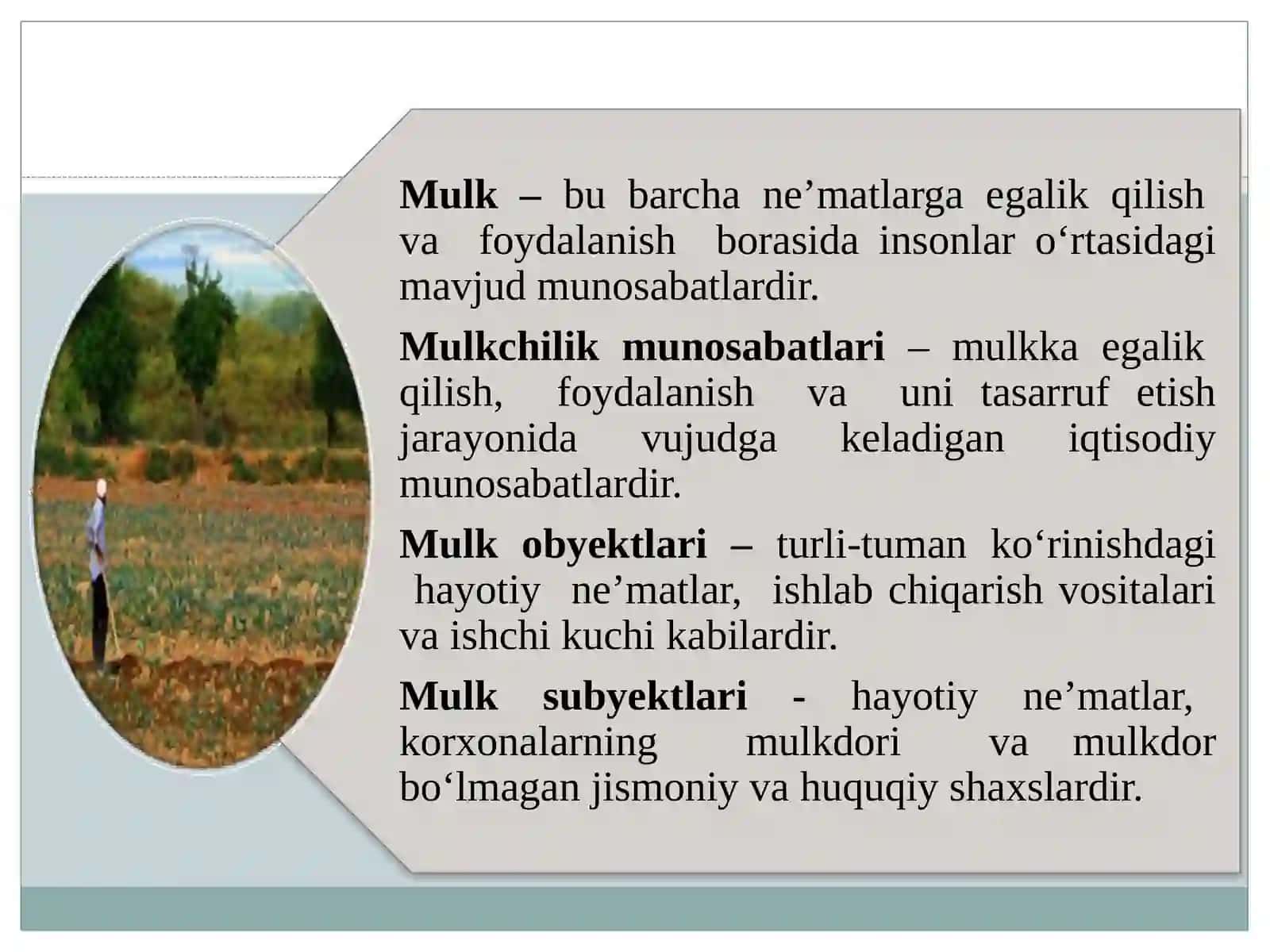 QISHLOQ XO‘JALIGIDA MULK VA TADBIRKORLIK SHAKLLARI, ULARNING BOZOR SHAROITIDA RIVOJLANISHI 3